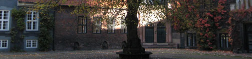 Vor Frue Plads Gaard